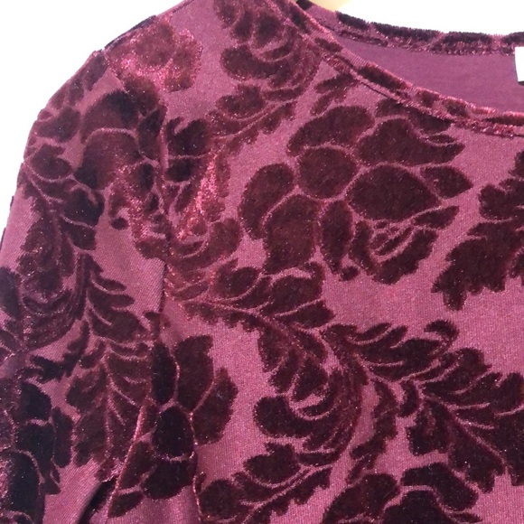 Sundance Delicate Senses Velvet Burnout Top - Picture 4 of 8